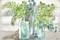 Vintage Bottles And Ferns Landscape Poster Print by Tre Sorelle Studios - Item # VARPDXRB12493TS